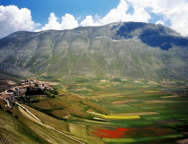 Fioritura nella piana di Castelluccio