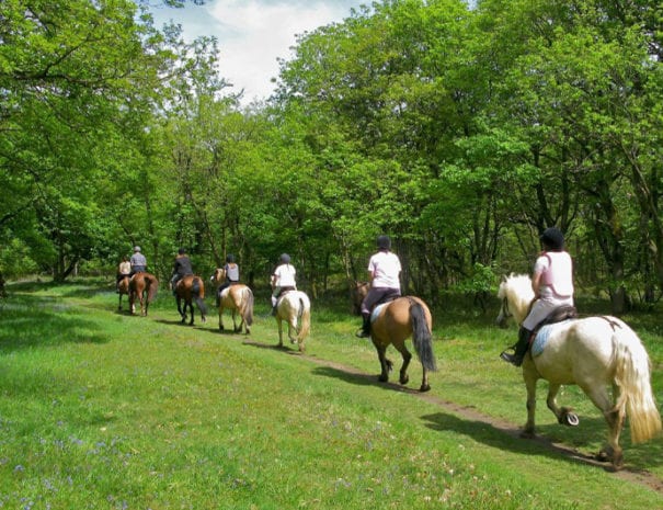 Passeggiate a cavallo