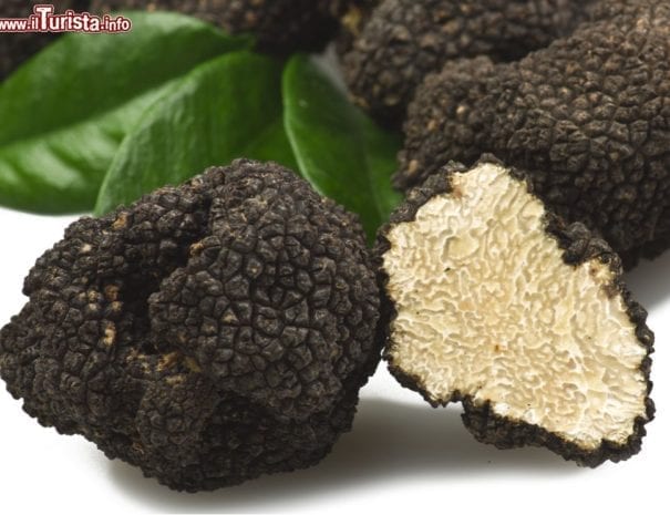 Il tartufo nero di Norcia