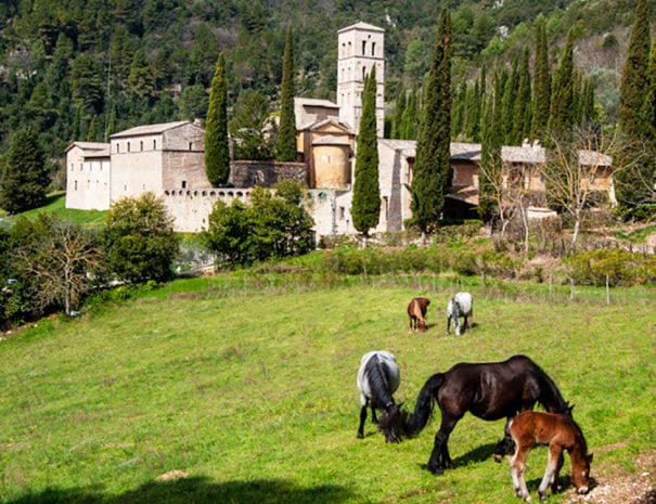 L'abbazia di San Pietro in Valle