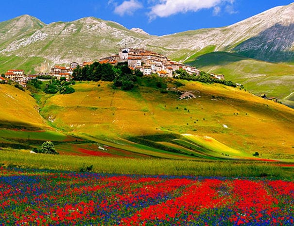 La fioritura della piana di Castelluccio