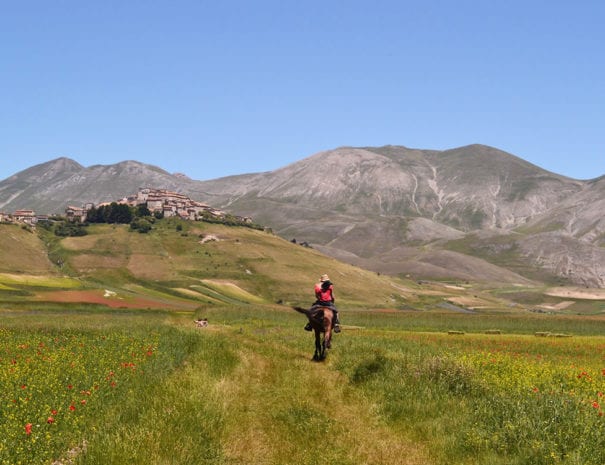 Castelluccio ed il monte Vettore