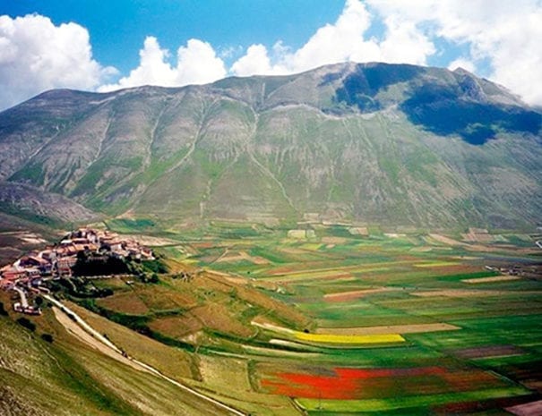 La fioritura della piana di Castelluccio