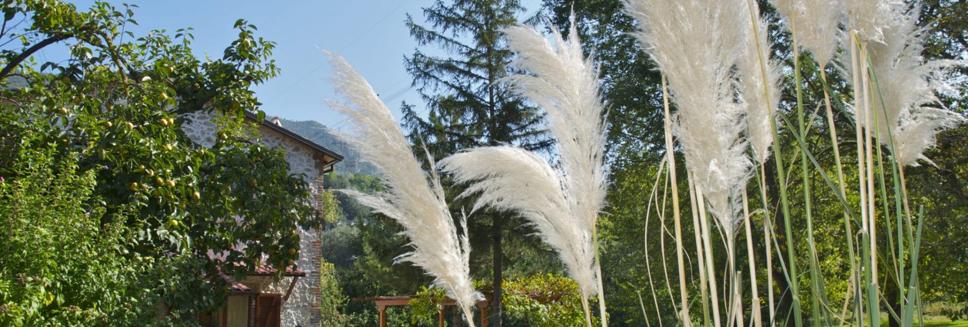 giardino-8