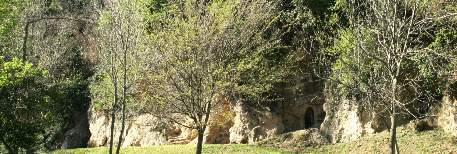 _spianata 5